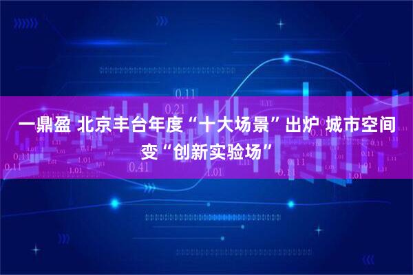 一鼎盈 北京丰台年度“十大场景”出炉 城市空间变“创新实验场”
