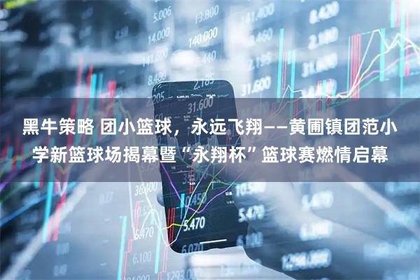 黑牛策略 团小篮球，永远飞翔——黄圃镇团范小学新篮球场揭幕暨“永翔杯”篮球赛燃情启幕
